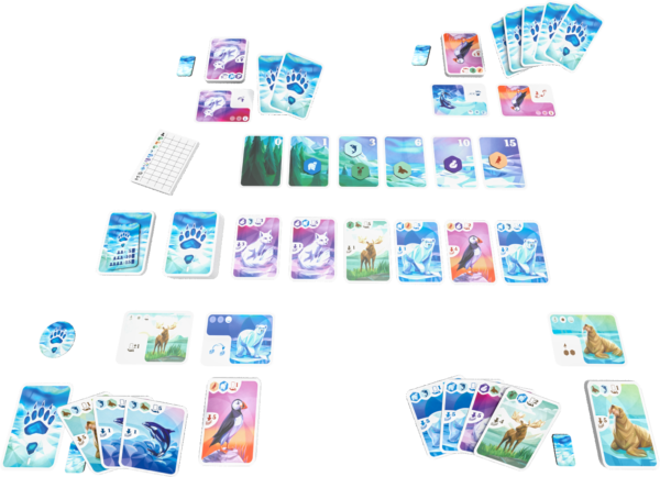 Arctic – Image 4