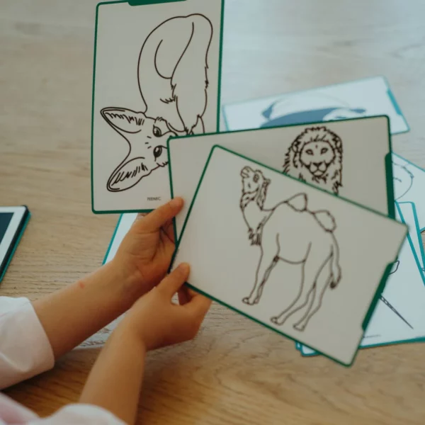 KIDYDRAW-MINI - Animaux autour du monde – Image 4